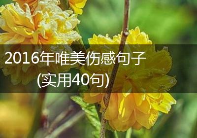 2016年唯美伤感句子(实用40句)