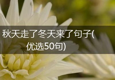 秋天走了冬天来了句子(优选50句)