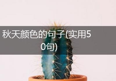 秋天颜色的句子(实用50句)