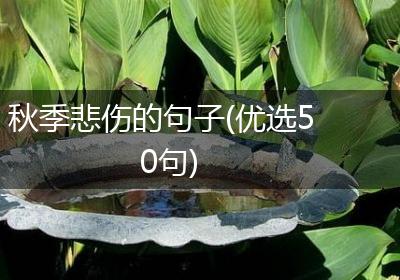 秋季悲伤的句子(优选50句)