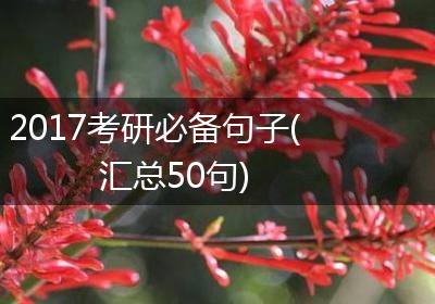 2017考研必备句子(汇总50句)