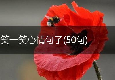 笑一笑心情句子(50句)