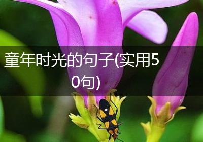 童年时光的句子(实用50句)