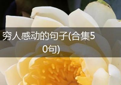 穷人感动的句子(合集50句)