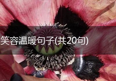 笑容温暖句子(共20句)