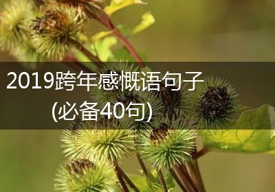 2019跨年感慨语句子(必备40句)