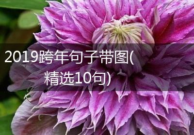 2019跨年句子带图(精选10句)