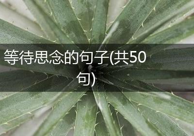 等待思念的句子(共50句)