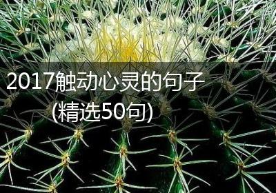 2017触动心灵的句子(精选50句)