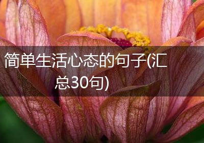 简单生活心态的句子(汇总30句)