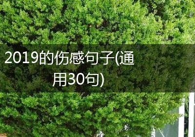 2019的伤感句子(通用30句)