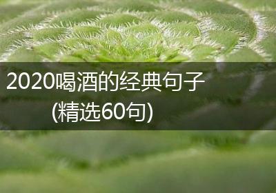 2020喝酒的经典句子(精选60句)