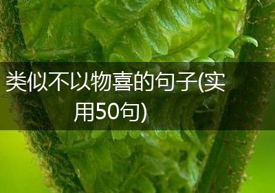 类似不以物喜的句子(实用50句)