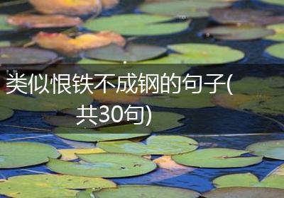 类似恨铁不成钢的句子(共30句)