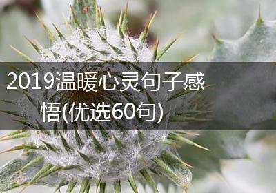 2019温暖心灵句子感悟(优选60句)