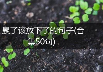 累了该放下了的句子(合集50句)
