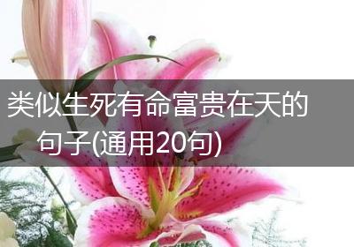 类似生死有命富贵在天的句子(通用20句)