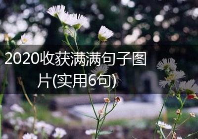 2020收获满满句子图片(实用6句)