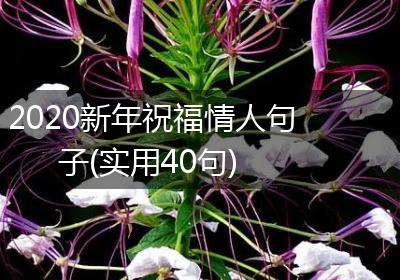 2020新年祝福情人句子(实用40句)