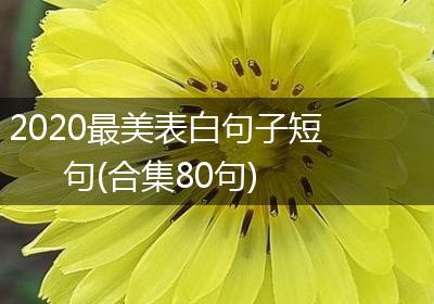 2020最美表白句子短句(合集80句)