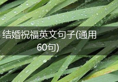 结婚祝福英文句子(通用60句)