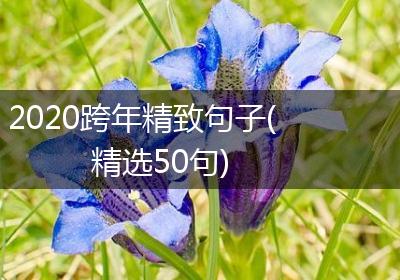 2020跨年精致句子(精选50句)