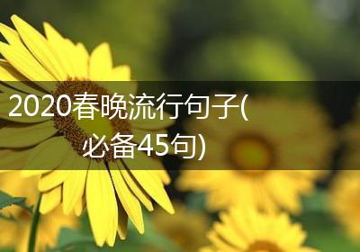 2020春晚流行句子(必备45句)
