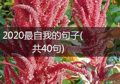 2020最自我的句子(共40句)