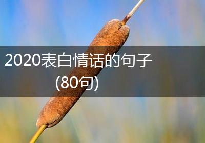 2020表白情话的句子(80句)