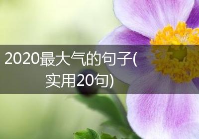 2020最大气的句子(实用20句)