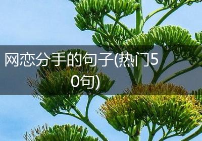 网恋分手的句子(热门50句)