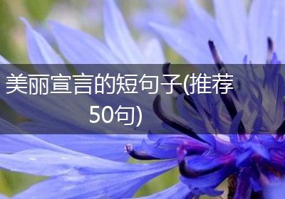 美丽宣言的短句子(推荐50句)
