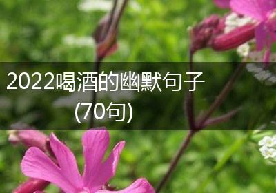 2022喝酒的幽默句子(70句)