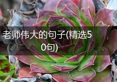 老师伟大的句子(精选50句)