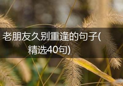 老朋友久别重逢的句子(精选40句)