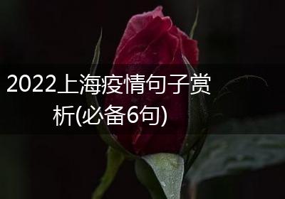 2022上海疫情句子赏析(必备6句)
