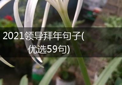 2021领导拜年句子(优选59句)
