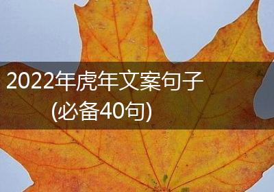 2022年虎年文案句子(必备40句)
