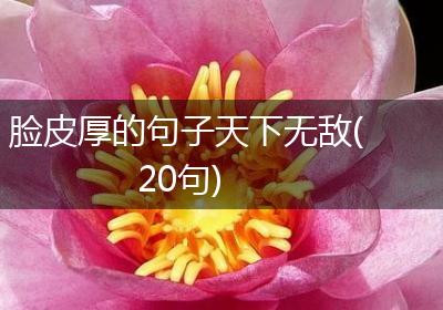 脸皮厚的句子天下无敌(20句)