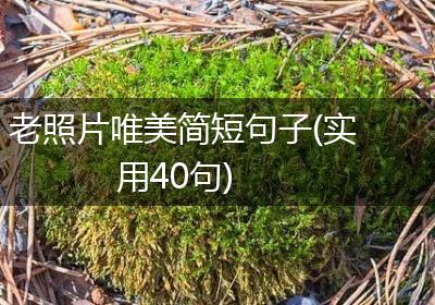 老照片唯美简短句子(实用40句)