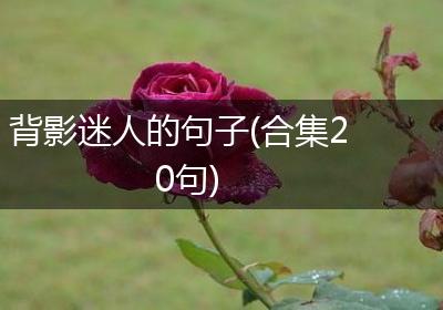 背影迷人的句子(合集20句)