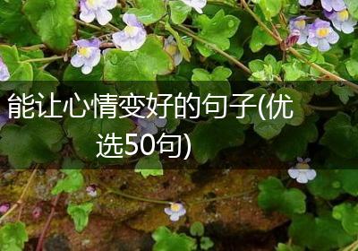 能让心情变好的句子(优选50句)