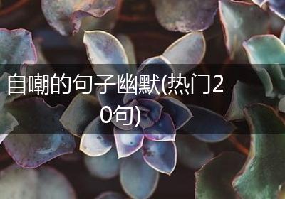 自嘲的句子幽默(热门20句)