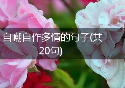 自嘲自作多情的句子(共20句)