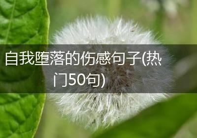 自我堕落的伤感句子(热门50句)