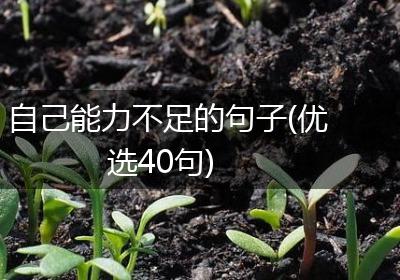 自己能力不足的句子(优选40句)