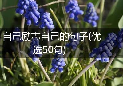 自己励志自己的句子(优选50句)