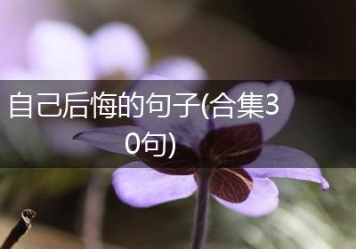 自己后悔的句子(合集30句)