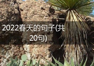 2022春天的句子(共20句)