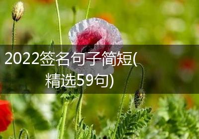 2022签名句子简短(精选59句)